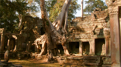 Wat Preah Khan bij Angkor Wat