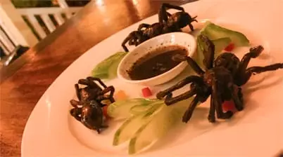 Restaurant Romdeng Phnom Phnom Penh