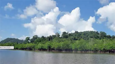 Ream National Park Sihanoukville