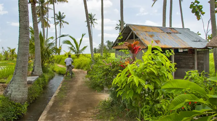 Campuhan Ridge Walk Ubud