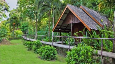 Riverside Cottages Khao Sok National Park
