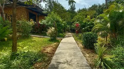 Mook Bamboo Bungalows  Koh Mook