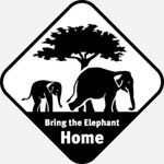 Logo Project Bring The Elephant Home