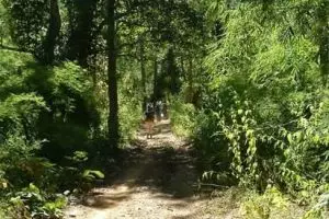 081-thailand-chiang-mai_copy_1