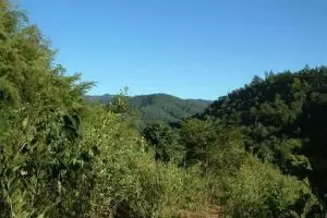 086-thailand-chiang-mai_copy_1