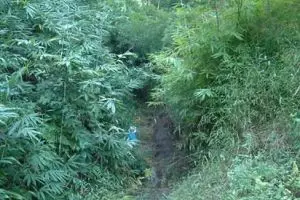 088-thailand-chiang-mai_copy_1