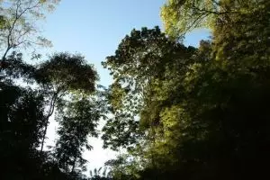 089-thailand-chiang-mai_copy_1