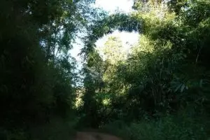 090-thailand-chiang-mai_copy_1