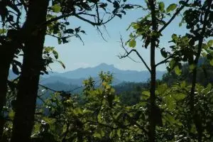 105-thailand-chiang-mai_copy_1