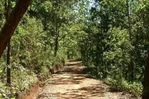 106-thailand-chiang-mai_copy_1