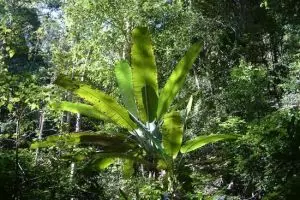107-thailand-chiang-mai_copy_1