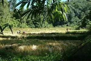 113-thailand-chiang-mai_copy_1