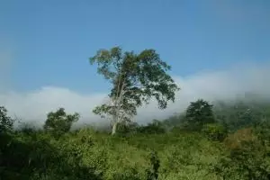 130-thailand-chiang-mai_copy_1