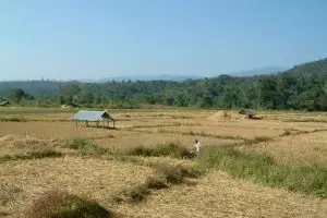 134-thailand-chiang-mai_copy_1