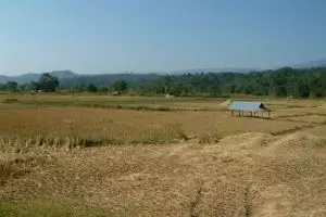 135-thailand-chiang-mai_copy_1