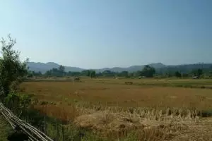 136-thailand-chiang-mai_copy_1