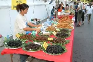 145-thailand-chiang-mai_copy_1