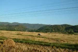 170-thailand-chiang-mai_copy_1