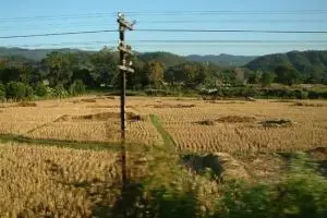 171-thailand-chiang-mai_copy_1