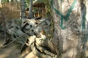 058-thailand-koh-chang-ao-bang-bao