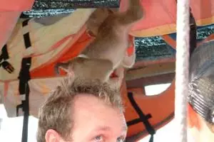 063-thailand-koh-chang-ao-bang-bao