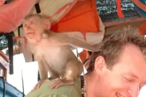 064-thailand-koh-chang-ao-bang-bao