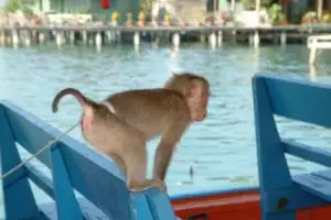 067-thailand-koh-chang-ao-bang-bao