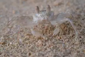 079-thailand-koh-mak