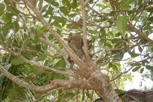 115-cambodja-sihanoukville