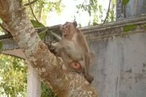 116-cambodja-sihanoukville