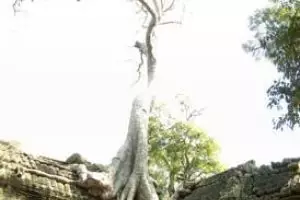 262-cambodja-siem-reap-angkor-wat