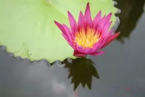 0006-thailand-bangkok
