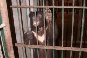 0064-laos-luang-prabang
