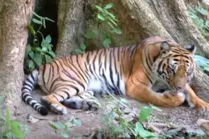 0072-laos-luang-prabang