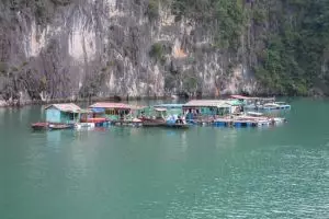 0212-vietnam-halong-bay