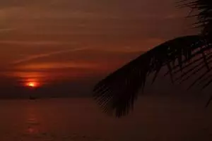 1156-thailand-koh-chang