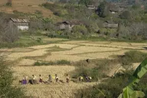 131-myanmar-kalaw-3-daagse-trekking-inle-lake
