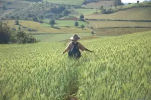 154-myanmar-kalaw-3-daagse-trekking-inle-lake