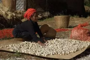 168-myanmar-kalaw-3-daagse-trekking-inle-lake