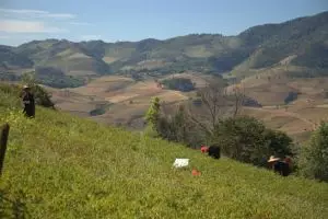 173-myanmar-kalaw-3-daagse-trekking-inle-lake