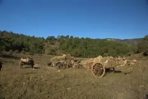 196-myanmar-kalaw-3-daagse-trekking-inle-lake