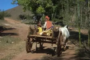 239-myanmar-kalaw-3-daagse-trekking-inle-lake