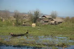 266-myanmar-moeras-bij-inle-lake
