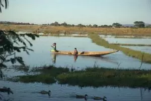 280-myanmar-nyaungshwe-moeras-bij-inle-lake