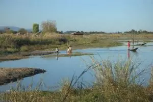 285-myanmar-nyaungshwe-moeras-bij-inle-lake
