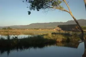 292-myanmar-nyaungshwe-moeras-bij-inle-lake