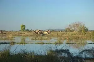 299-myanmar-nyaungshwe-moeras-bij-inle-lake