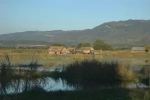 303-myanmar-nyaungshwe-moeras-bij-inle-lake