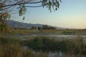 317-myanmar-nyaungshwe-moeras-bij-inle-lake