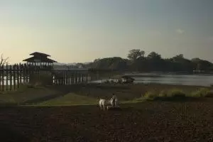 469-myanmar-amarapura-u-bein-s-bridge